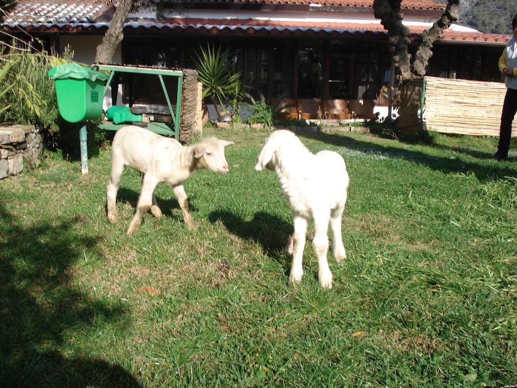 Agriturismo La Vecchia Dolceacqua Βίλα Εξωτερικό φωτογραφία